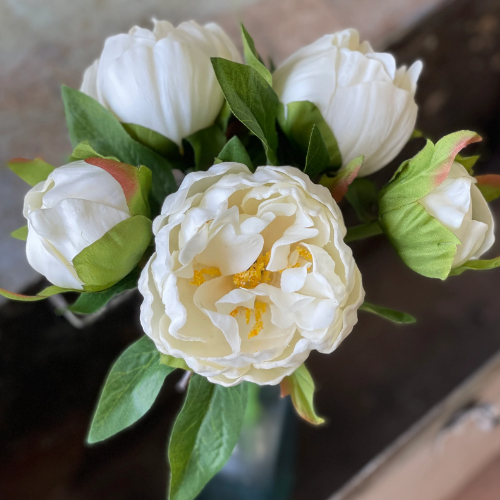 Ivory Peonies