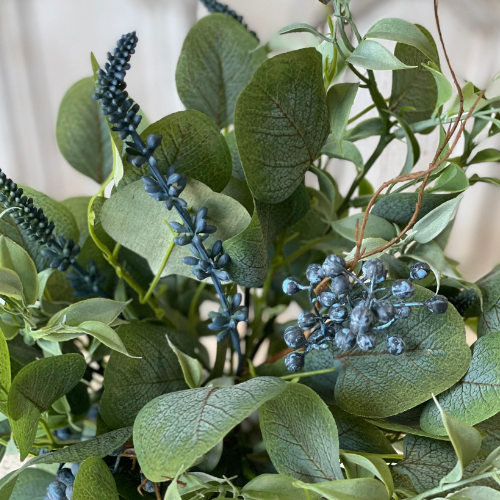 Potted Eucalyptus Mix