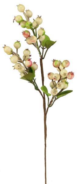 Spring Berry Pick
