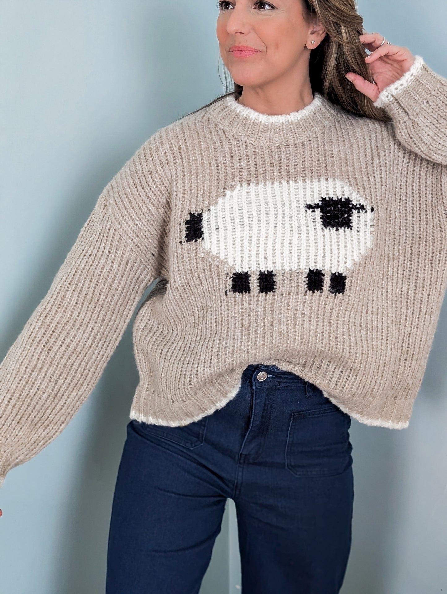 Knit Sheep Sweater