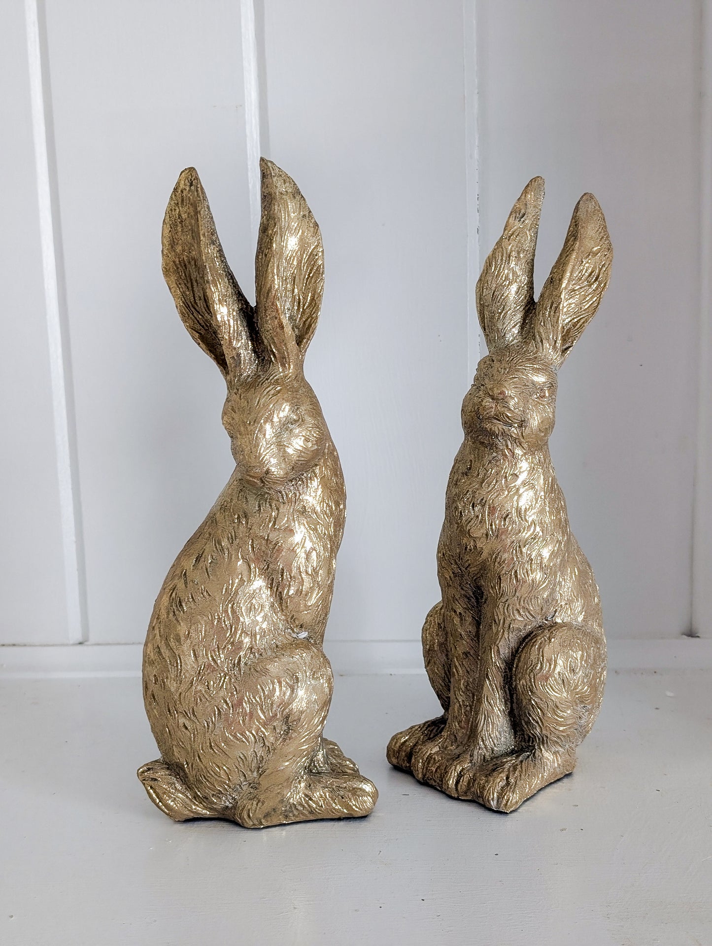 Gold Rabbit