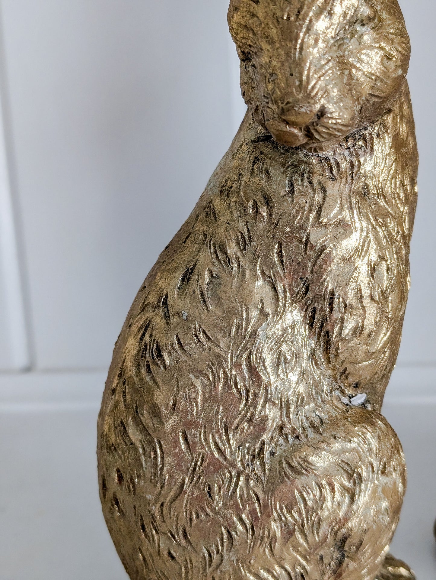 Gold Rabbit