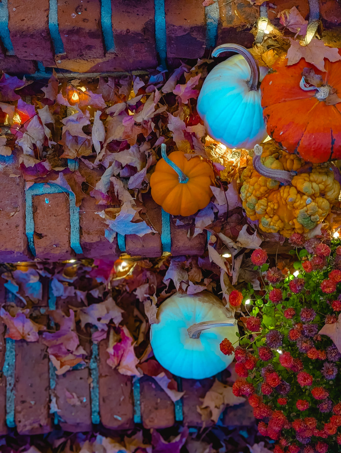 DIY: Transform Your Front Porch into a Cozy, Magical Twinkle Wonderland