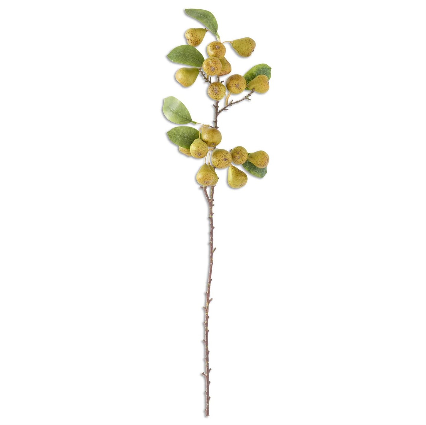 Pear Stem