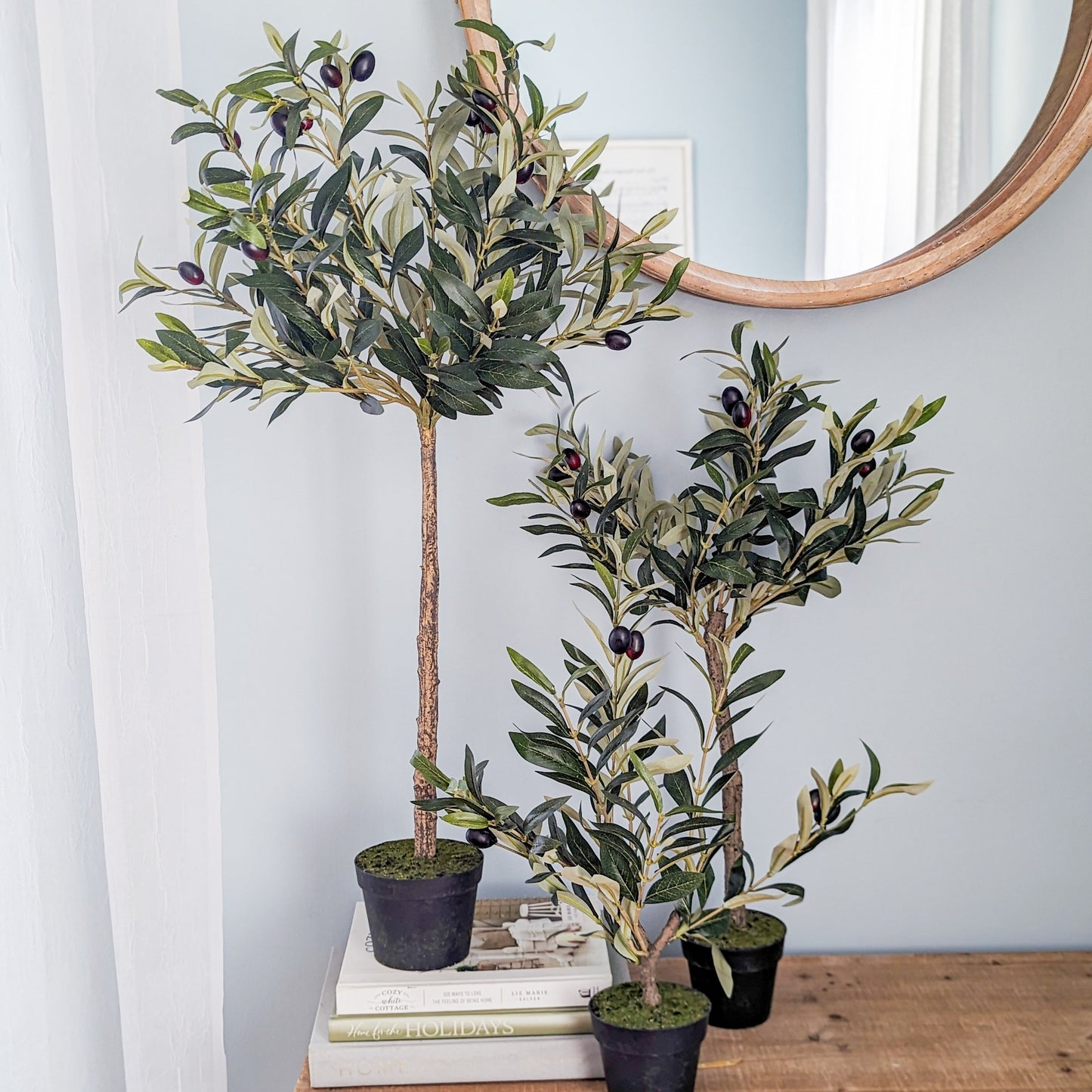 26" Olive Topiary