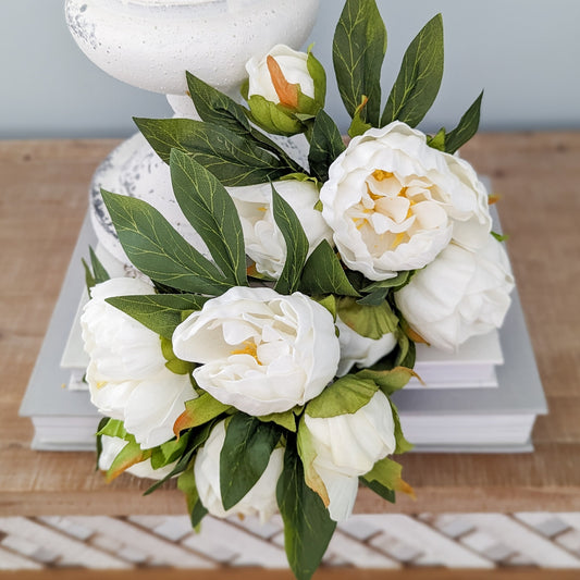 Ivory Peonies