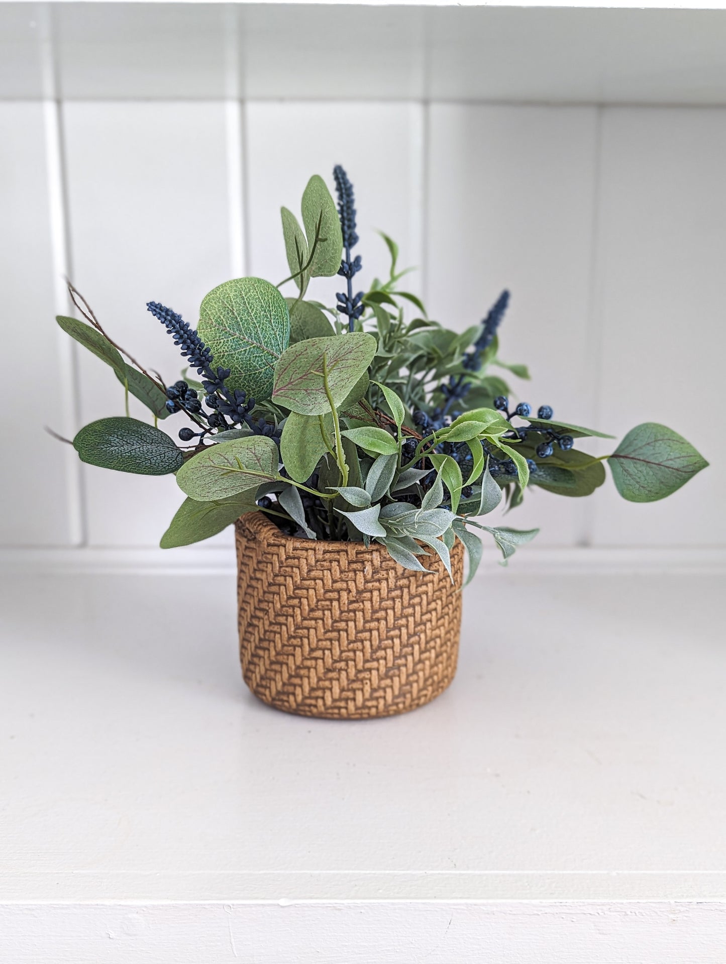 Potted Eucalyptus Mix