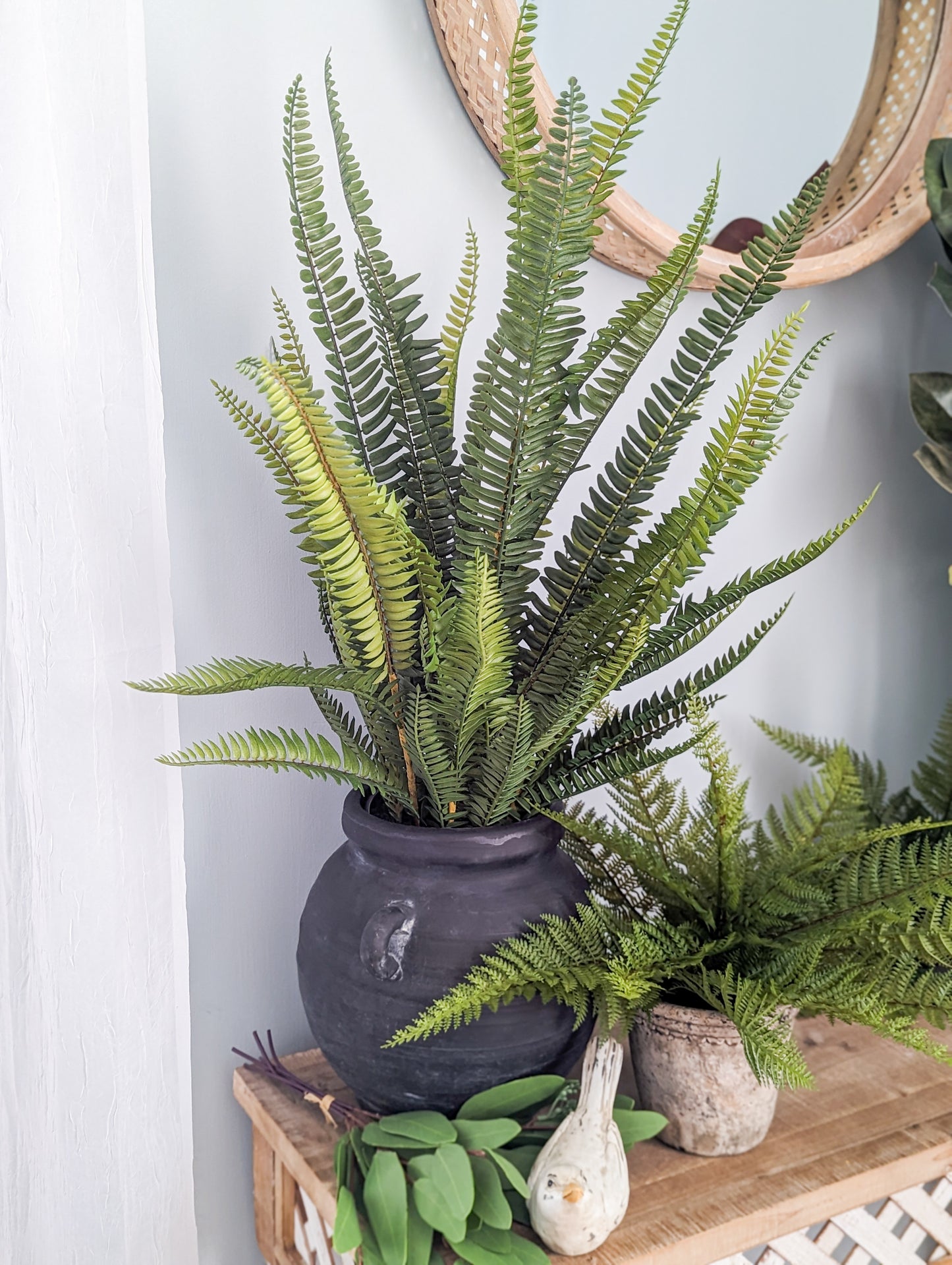 Potted Fern