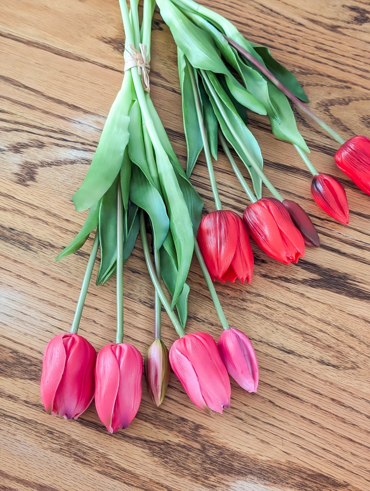 Tulip Bundles