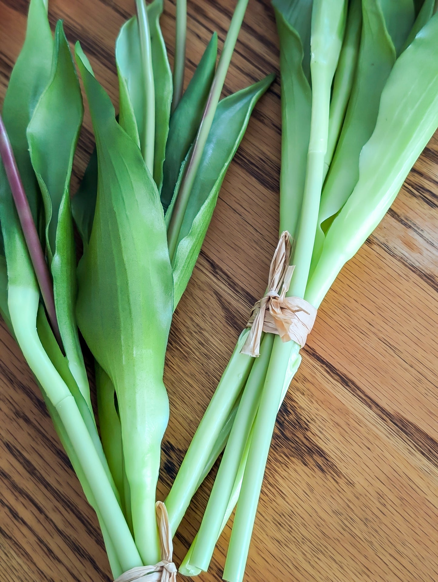 Tulip Bundles