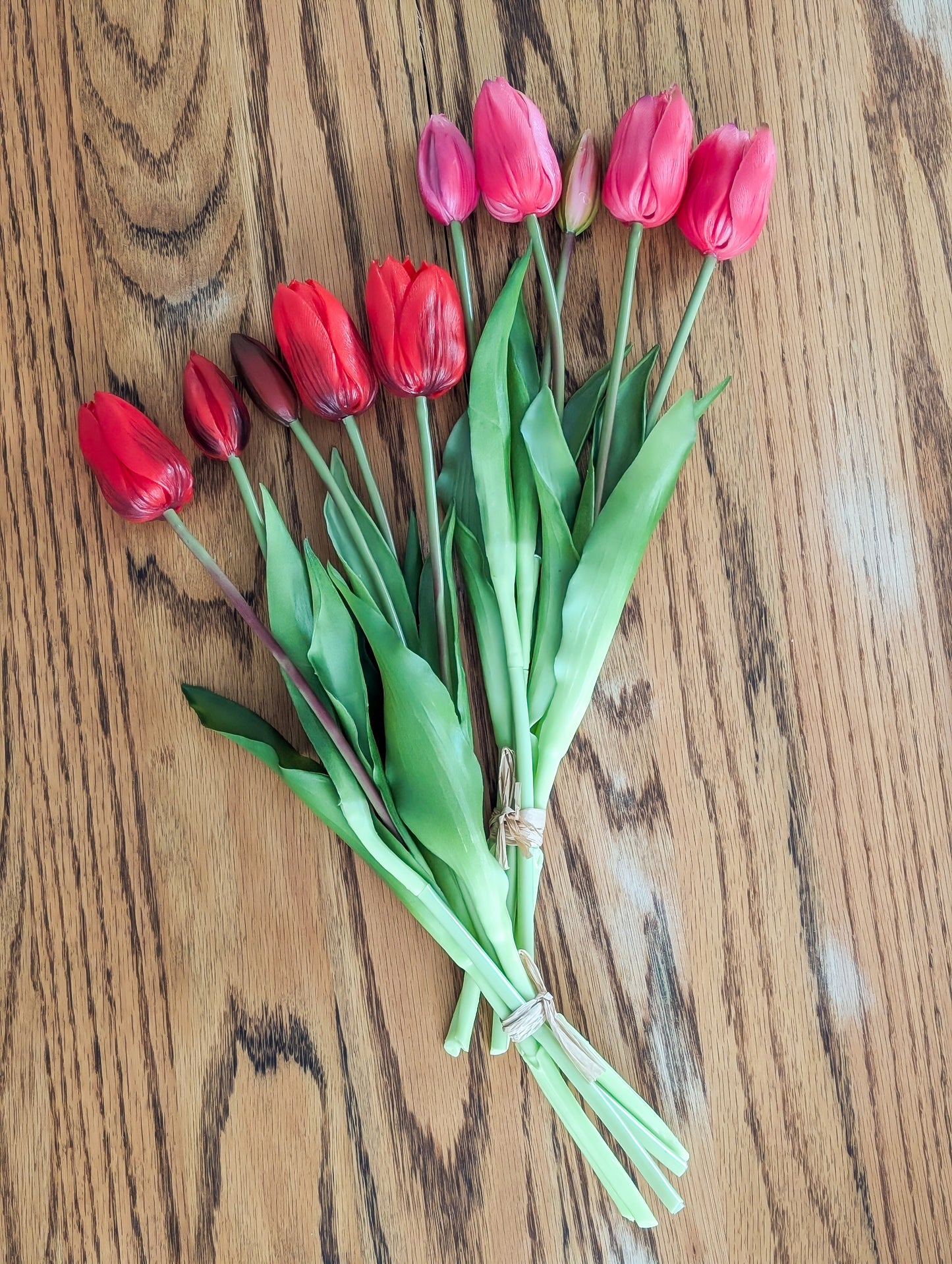 Tulip Bundles