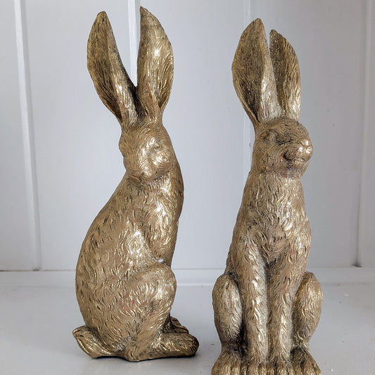 Gold Rabbit