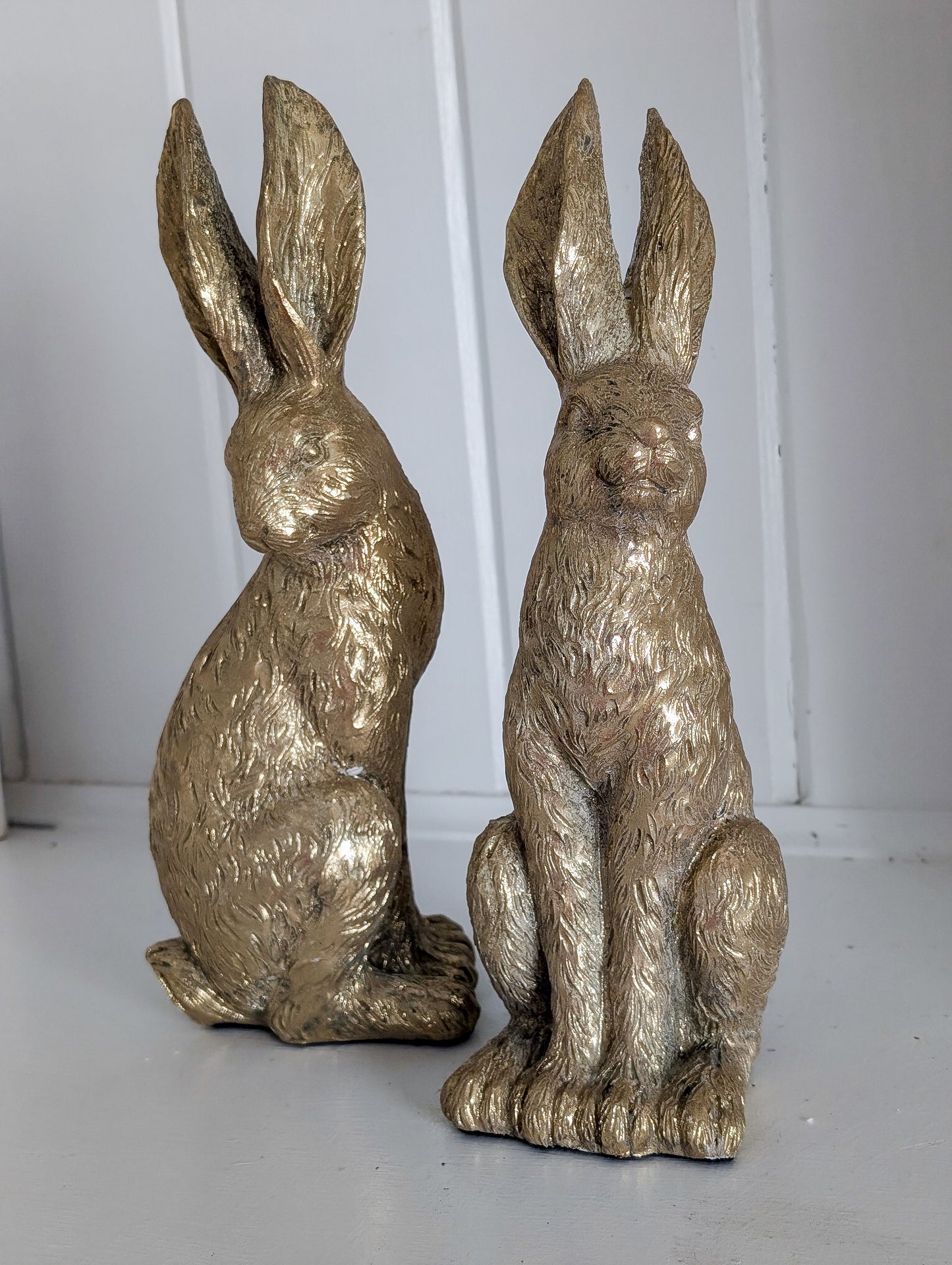 Gold Rabbit