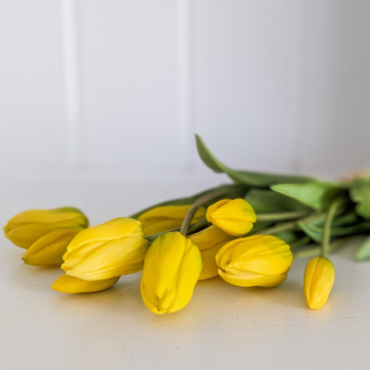 Yellow Tulip Bundle