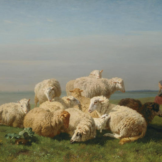 Remastered Sheep in Pasture