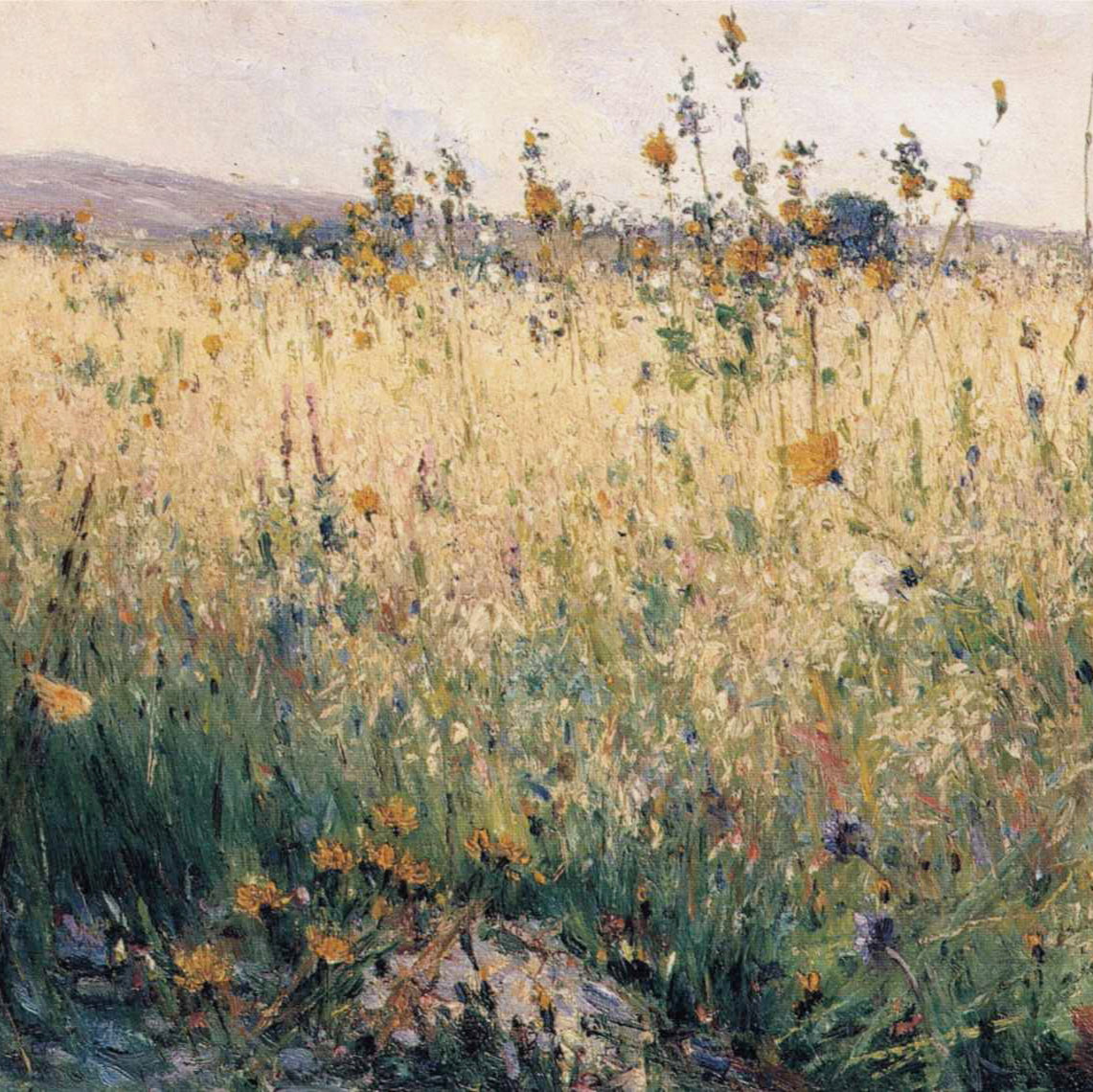 Remastered Watercolor Wildflower Field